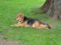9882-2022-Garden-Party