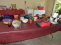 2023-06-17-AGM-Garden-Party-1168